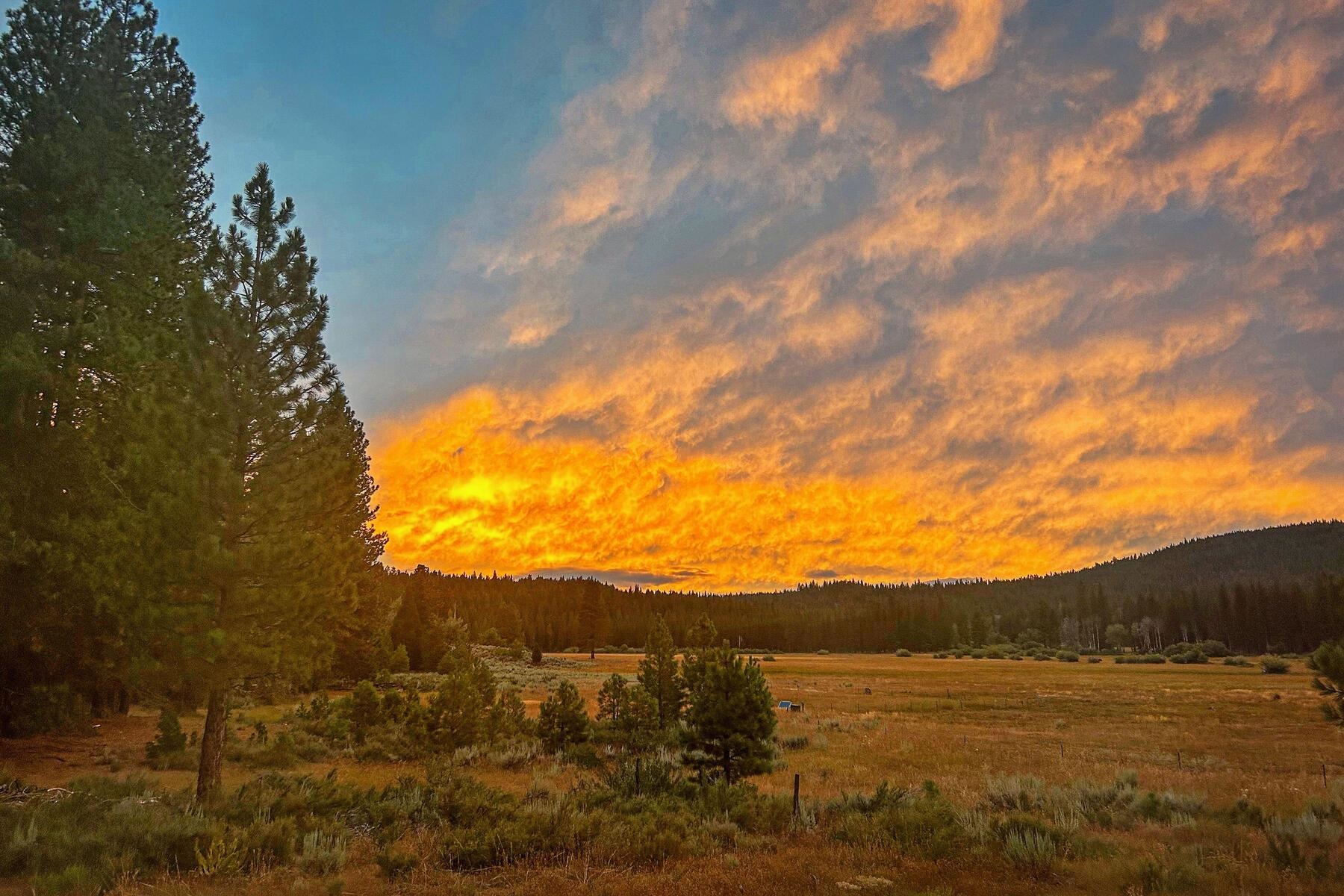 1015 Mountain Quail Road Calpine, CA 96124 - Photo 21 of 24 a view of mountain view and mountain