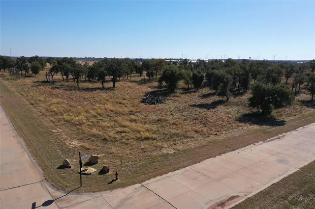 a view of a dry yard with trees