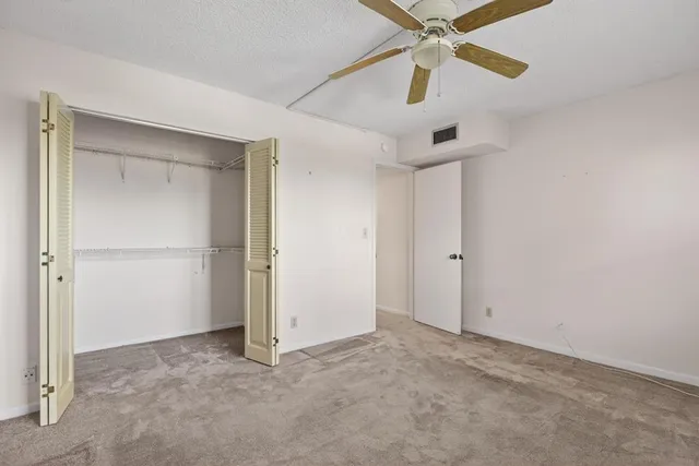 a view of a forest with a tree