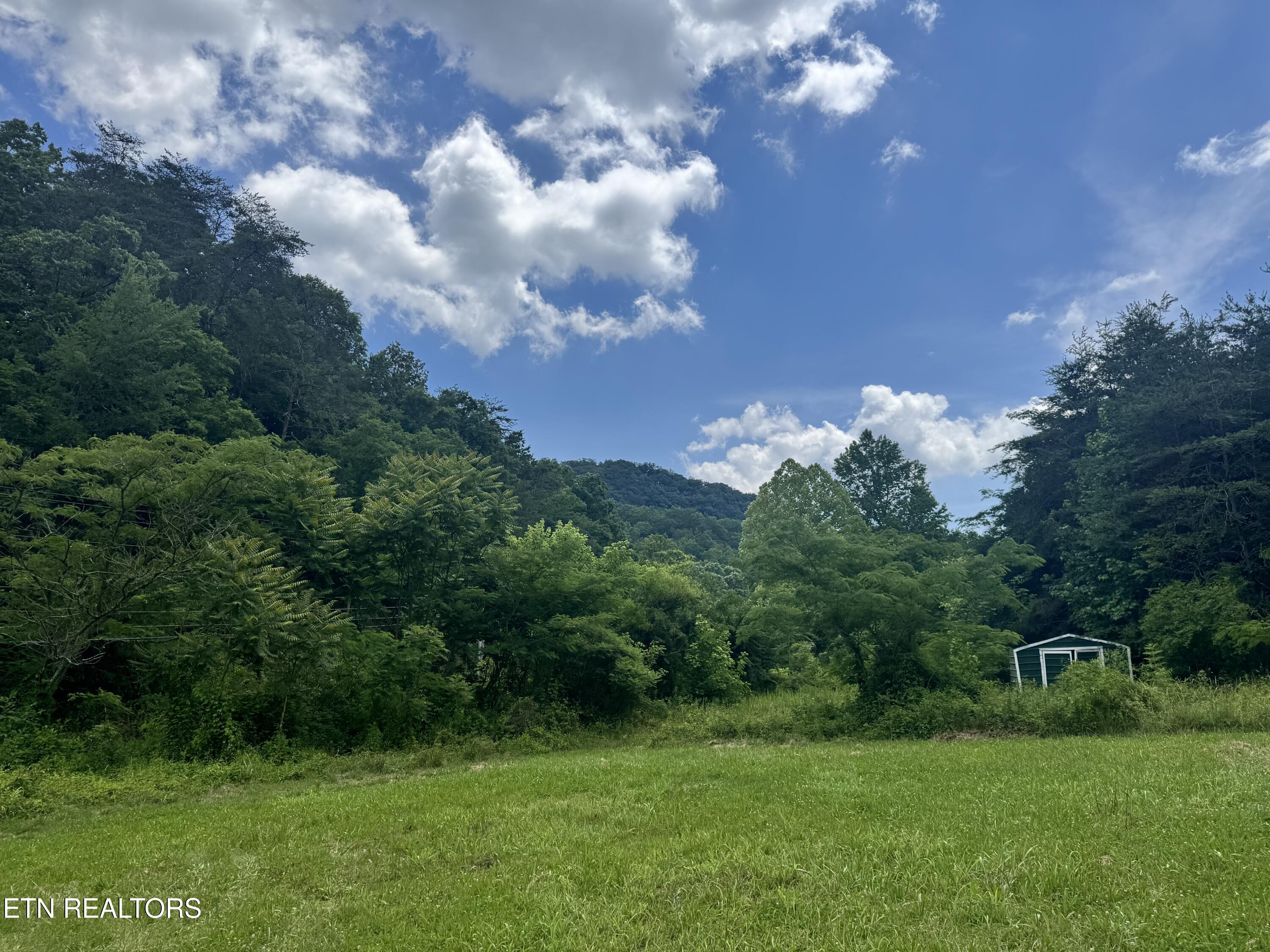 955 Rock Haven Road Bean Station, TN 37708 - Photo 11 of 23 Big House Backyard