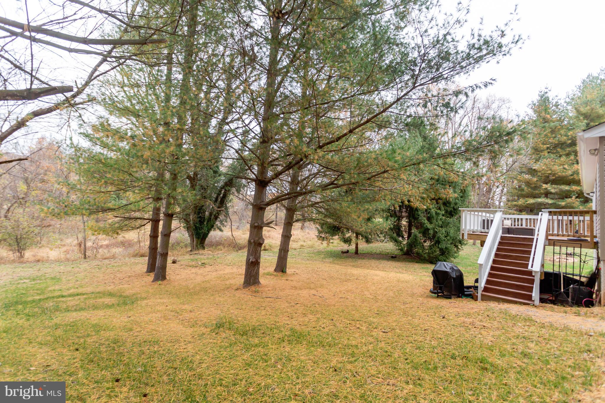 11305 Russell Road Purcellville, VA 20132 - Photo 27 of 29 View to rear, stairs to deck, bring the chickens!