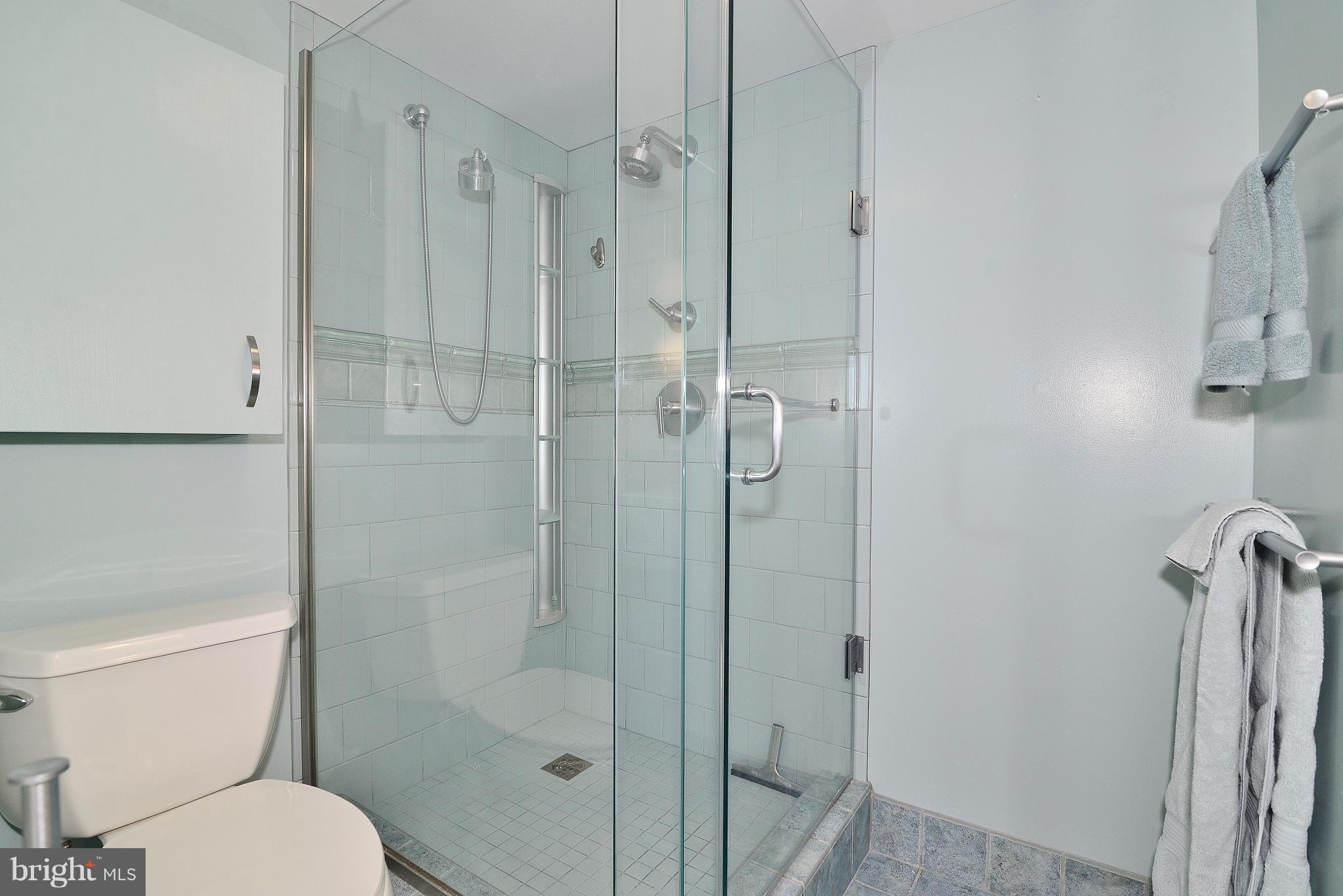 501 Slaters Lane, Unit 1019 Alexandria, VA 22314 - Photo 12 of 28 Bath (Master)