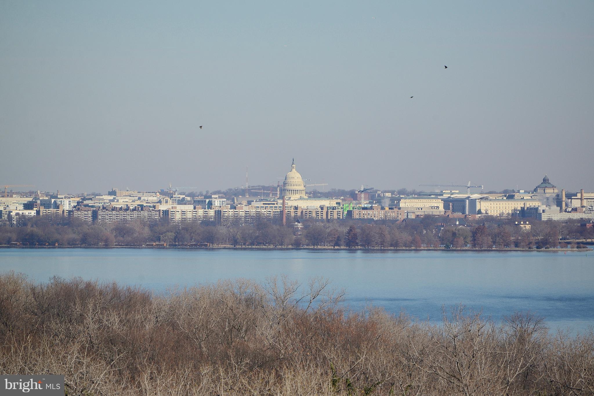 501 Slaters Lane, Unit 1019 Alexandria, VA 22314 - Photo 28 of 28 View of Capitol, DC, & River