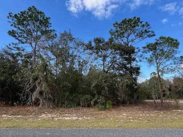 a view of a yard with a tree