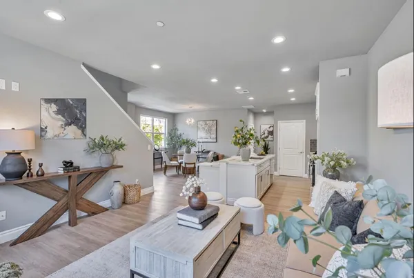 a living room with furniture and a potted plant