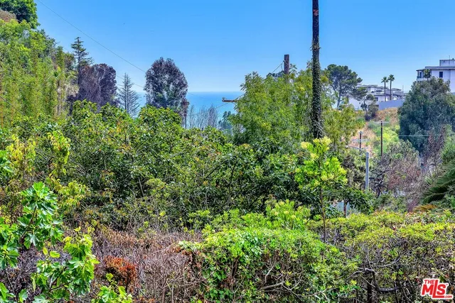 a view of a plant in front of a house