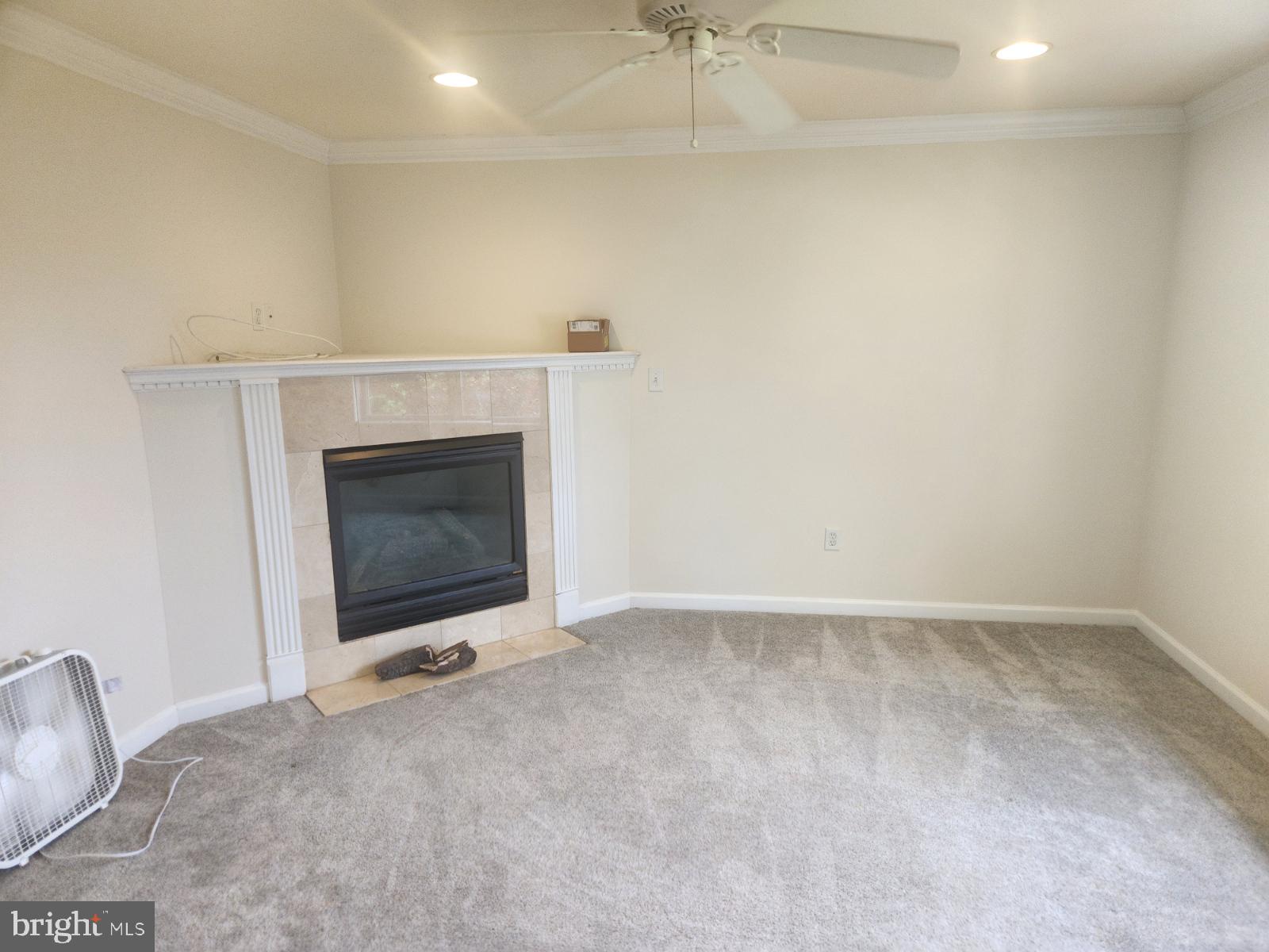 1507 Easton Road Warrington, PA 18976 - Photo 28 of 55 a view of an empty room with a fireplace