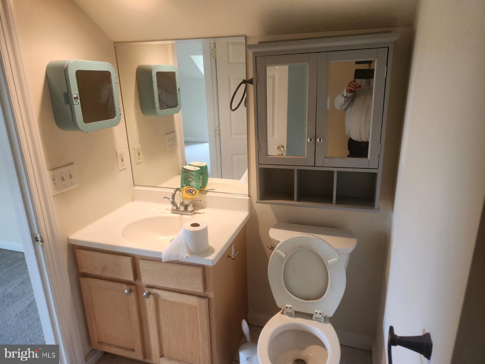 1507 Easton Road Warrington, PA 18976 - Photo 40 of 55 a bathroom with a toilet sink and mirror