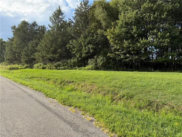 a view of a garden with a tree