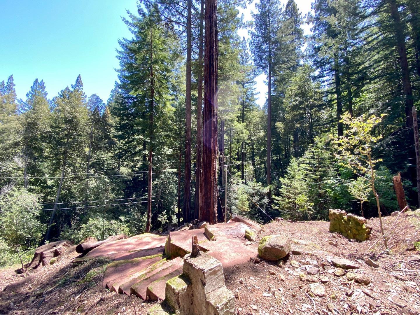511 Waldeberg Road Ben Lomond, CA 95005 - Photo 1 of 9 a view of a yard with trees