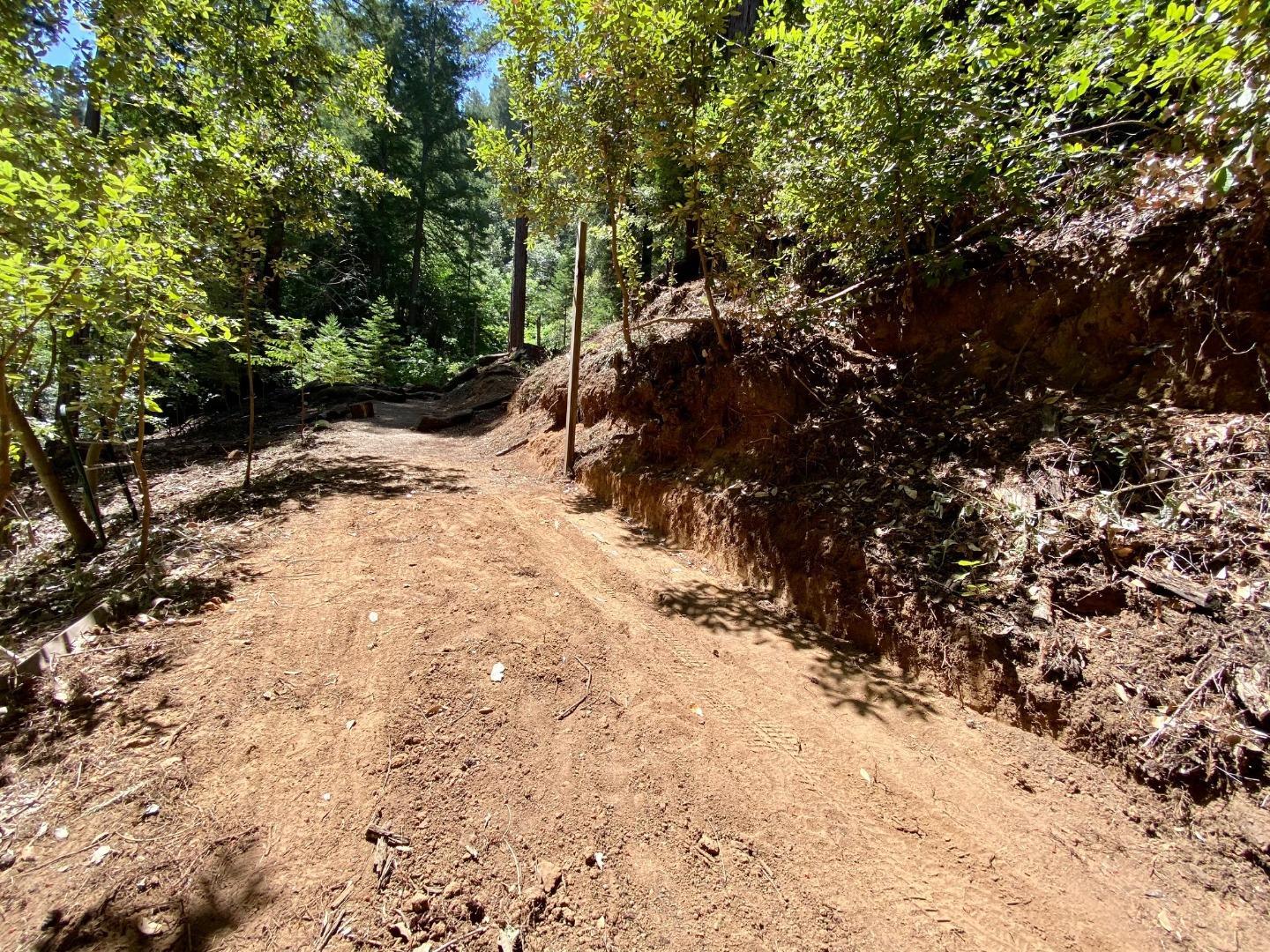 511 Waldeberg Road Ben Lomond, CA 95005 - Photo 3 of 9 a view of a covered with snow on tree
