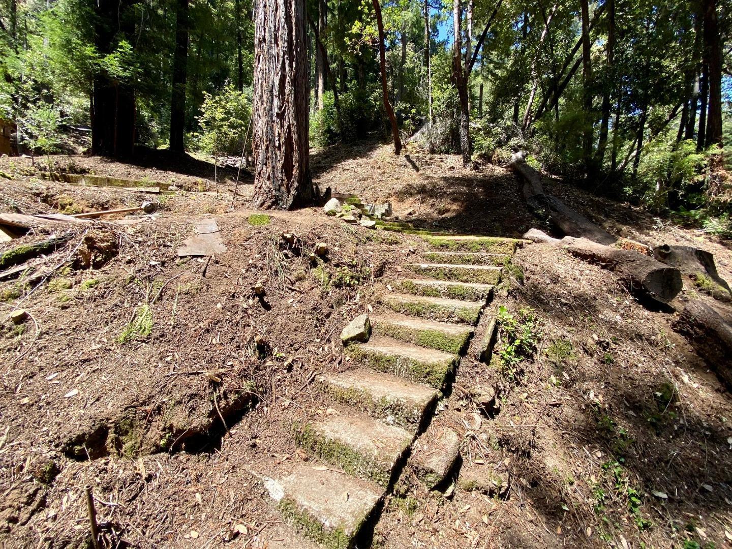 511 Waldeberg Road Ben Lomond, CA 95005 - Photo 4 of 9 a view of a yard with trees