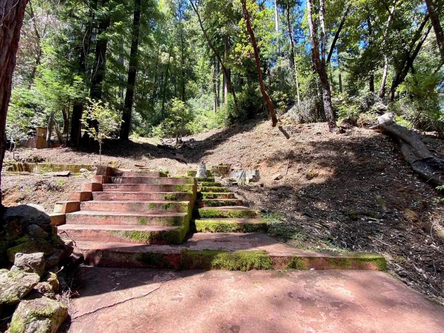 511 Waldeberg Road Ben Lomond, CA 95005 - Photo 5 of 9 a view of a yard with plants and large trees