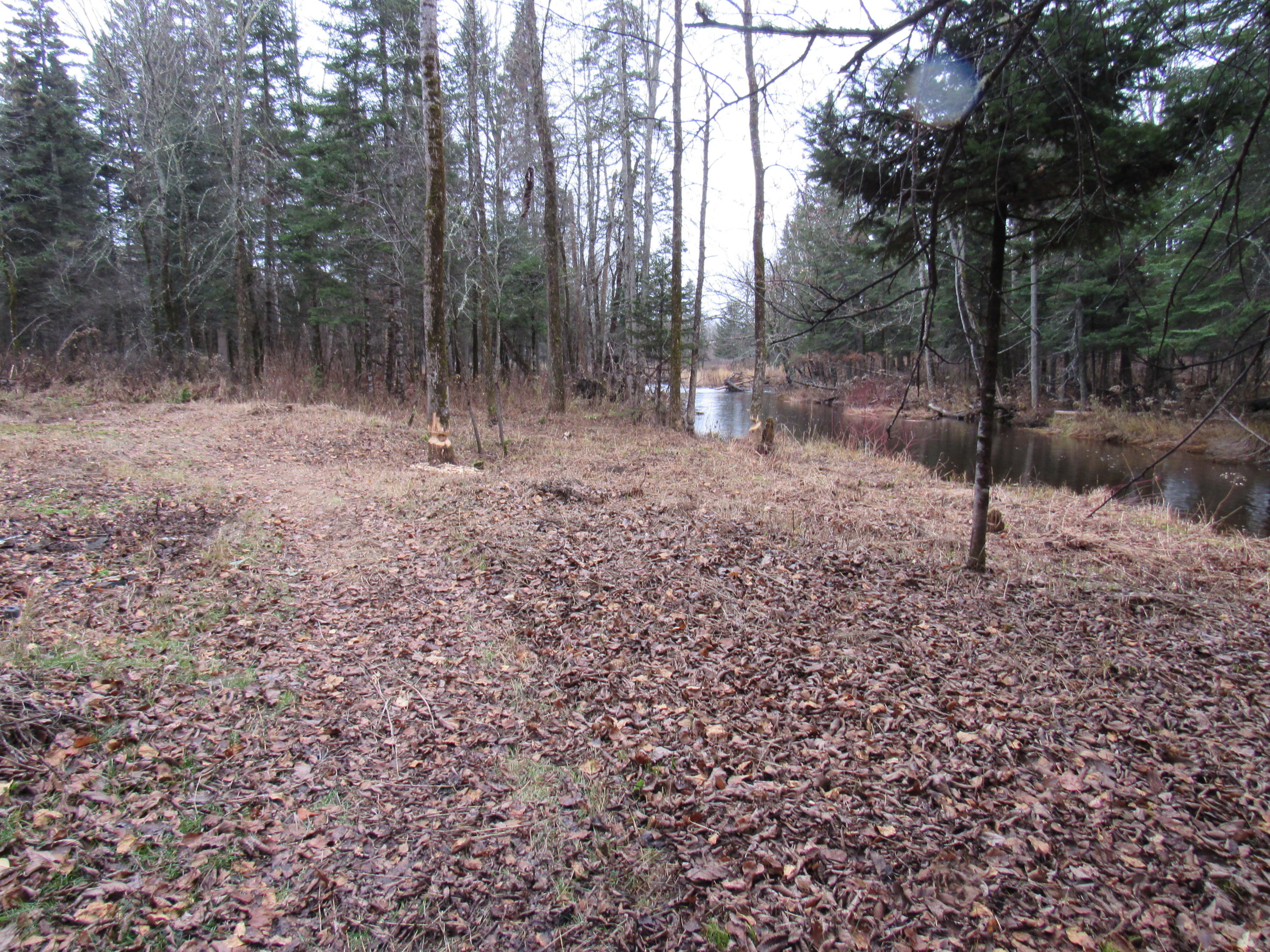 86 Heald Stream Road Jackman, ME 04945 - Photo 10 of 26 IMG_4566
