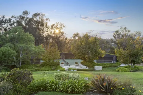 a living room with fireplace furniture and a wooden floor