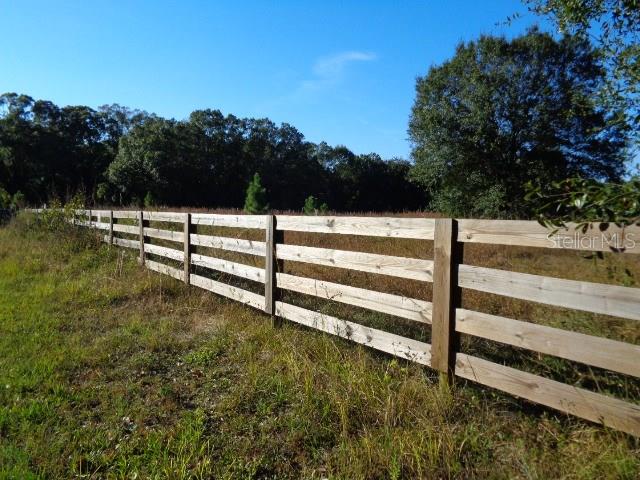 22415 Bell Lake Road Land O' Lakes, FL 34639 - Photo 1 of 1