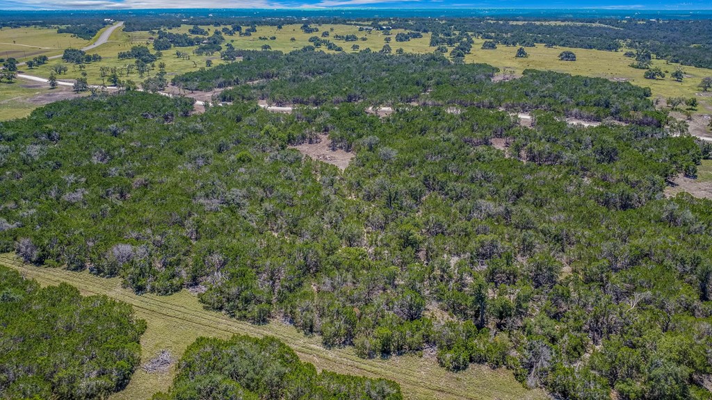3 Bonita View Ranch Road Harper, TX 78631 - Photo 3 of 6
