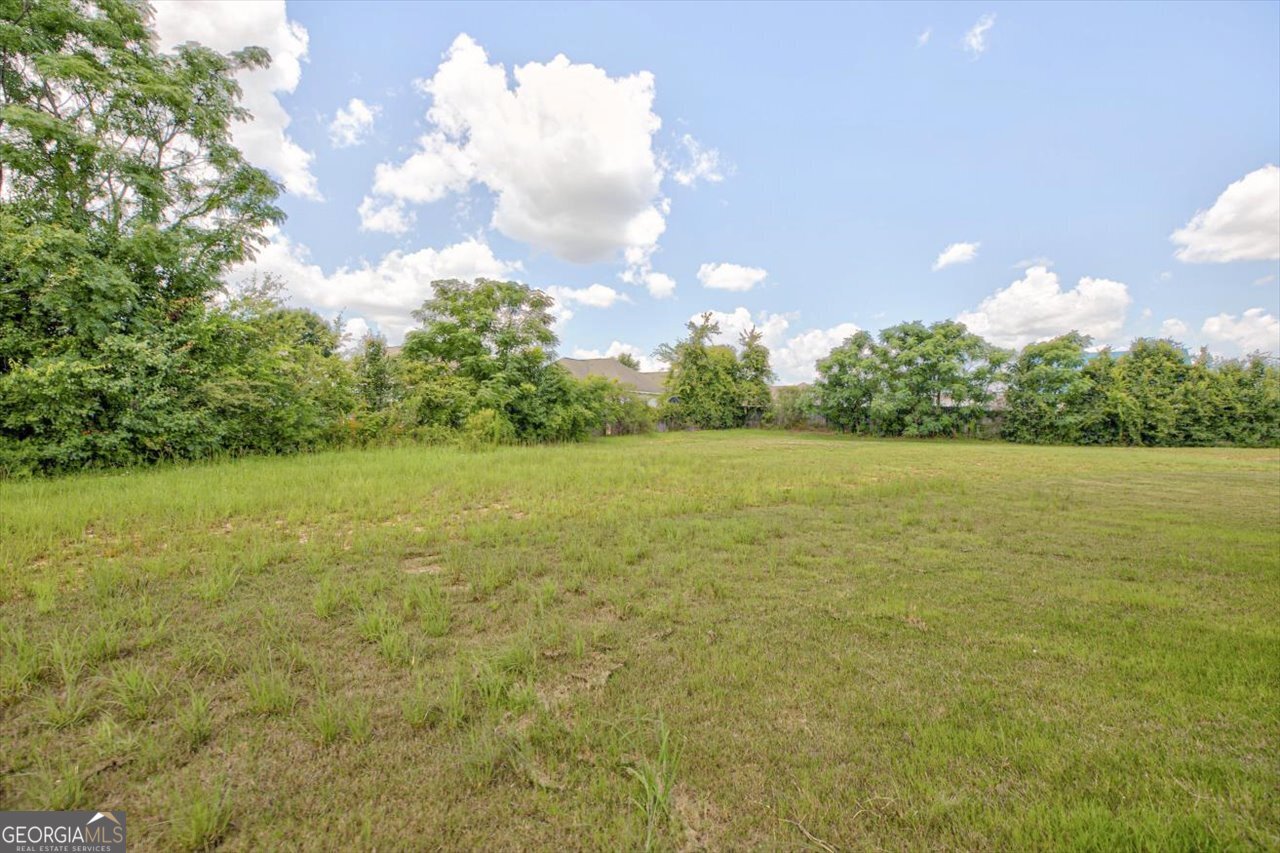 249 Isabella Way Byron, GA 31008 - Photo 49 of 49