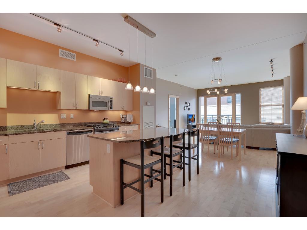 401 North 2nd Street, Unit 219 Minneapolis, MN 55401 - Photo 1 of 19