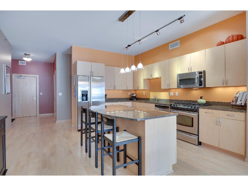 401 North 2nd Street, Unit 219 Minneapolis, MN 55401 - Photo 2 of 19