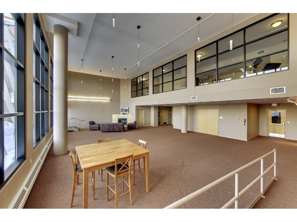 401 North 2nd Street, Unit 219 Minneapolis, MN 55401 - Photo 14 of 19