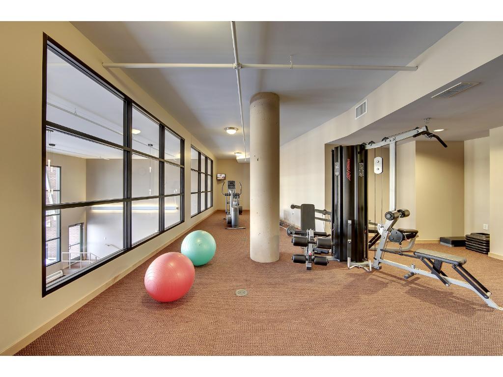 401 North 2nd Street, Unit 219 Minneapolis, MN 55401 - Photo 15 of 19