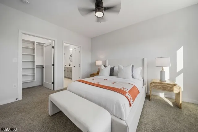 a bedroom with a bed and a walk in closet