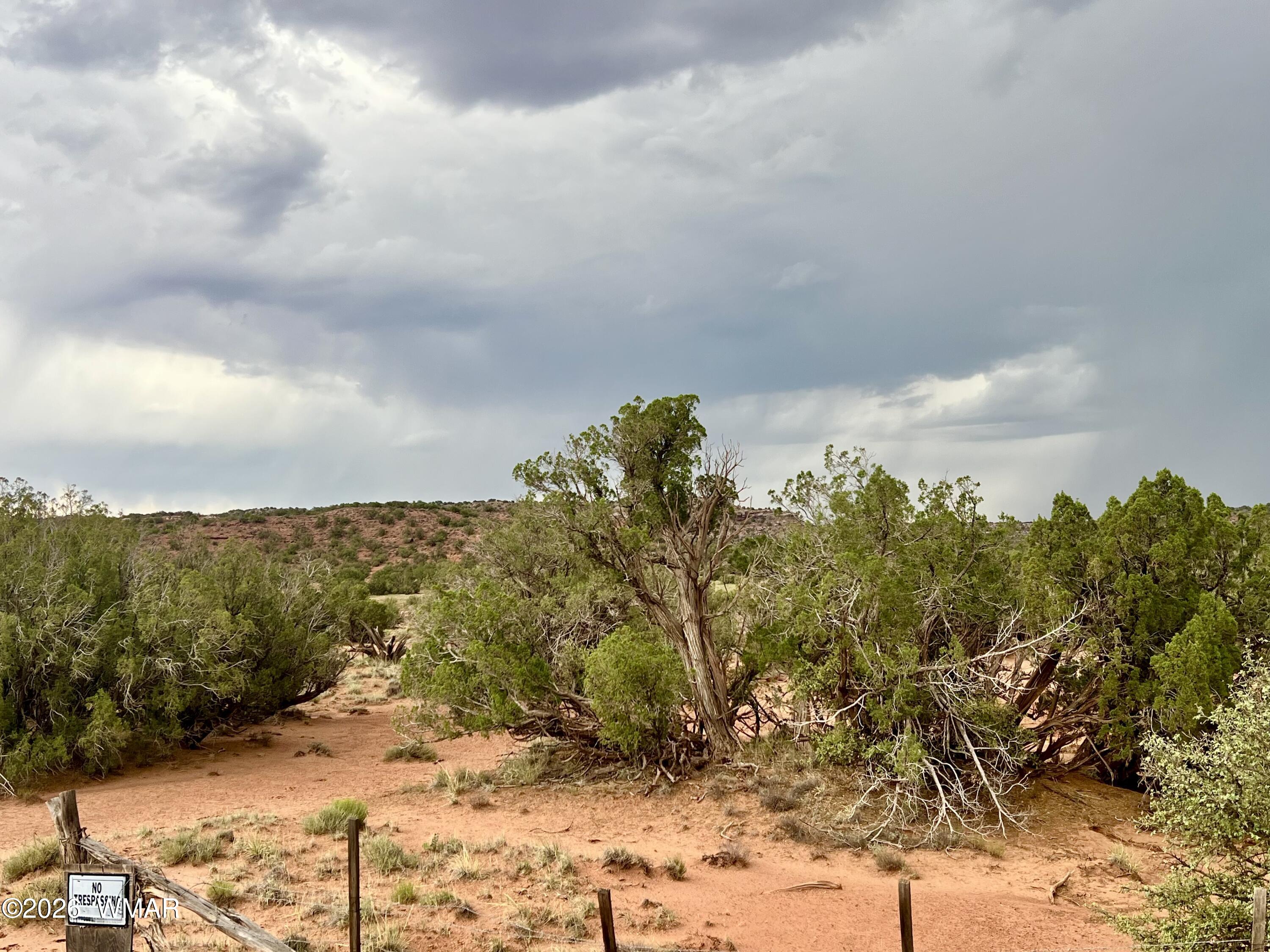 3727 Jay Road Snowflake, AZ 85937 - Photo 7 of 17 a view of a yard