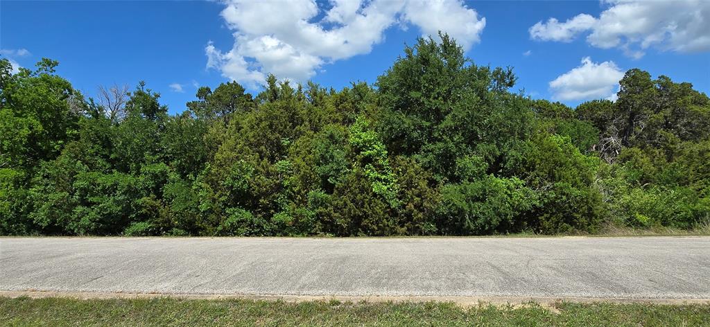 7721 Prestwick Drive Cleburne, TX 76033 - Photo 2 of 8 a view of a big yard with large trees