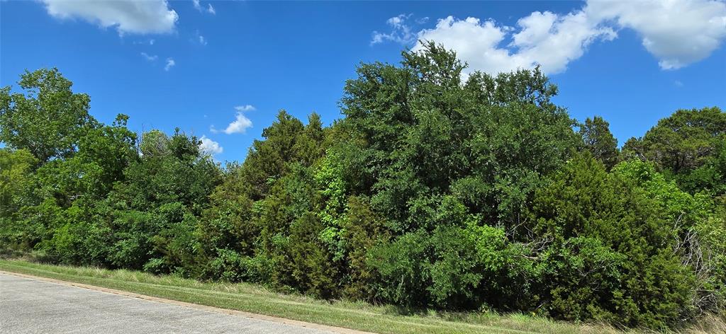 7721 Prestwick Drive Cleburne, TX 76033 - Photo 4 of 8 a view of a bunch of trees