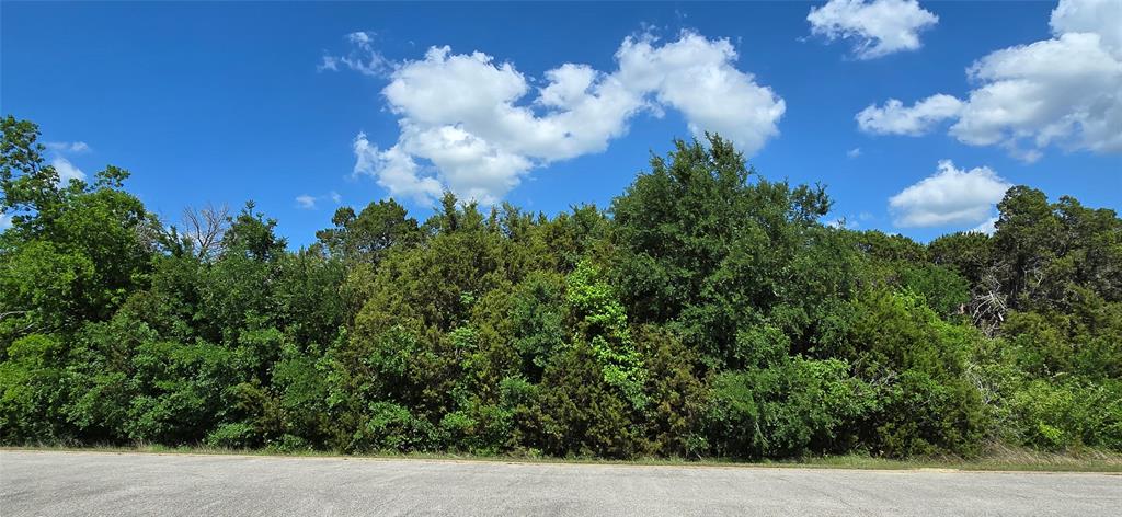 7721 Prestwick Drive Cleburne, TX 76033 - Photo 5 of 8 a view of a house with a street