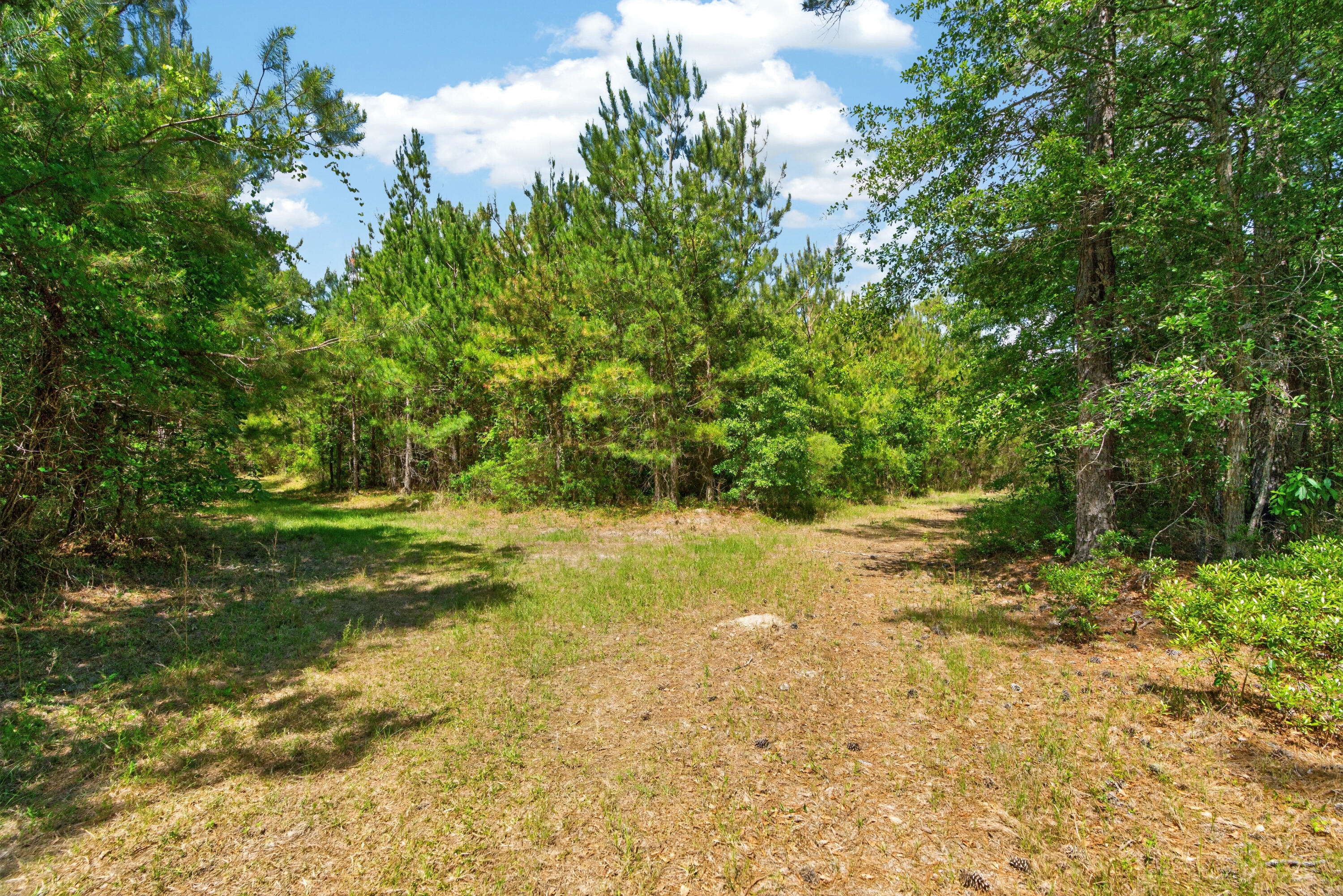 5120 North Brewington Road, Unit 10 Alcolu, SC 29001 - Photo 17 of 40 DSC09197