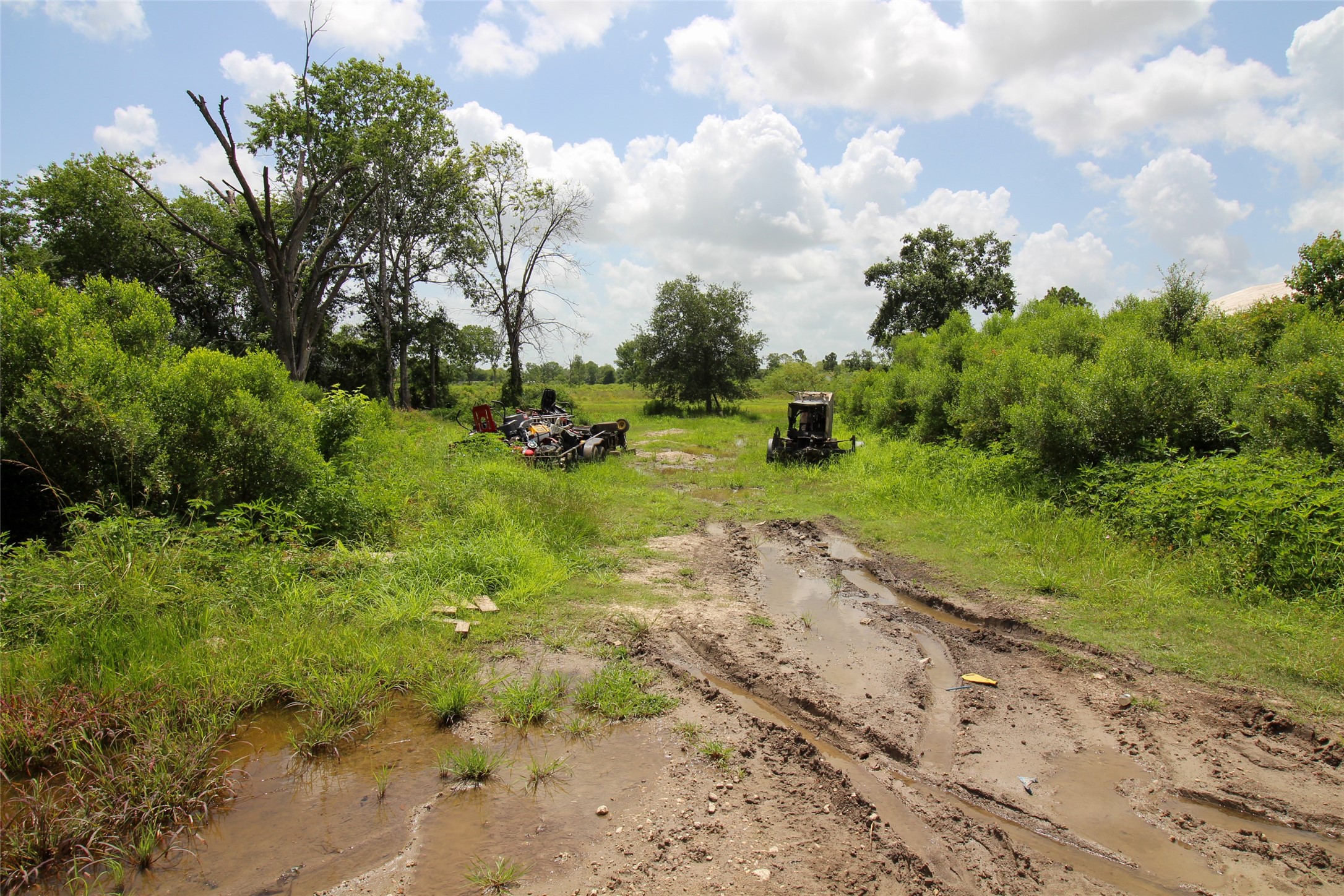 0 Judy Street Rosharon, TX 77583 - Photo 12 of 15 a view of a park with large trees