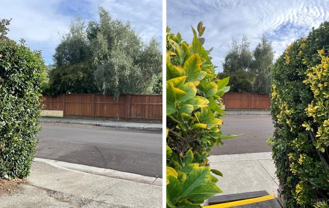 $597,000 | 59 Geneva Way, San Rafael, CA 94903