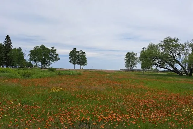 $299,000 | 5421 Highway 61, Hovland, MN 55606