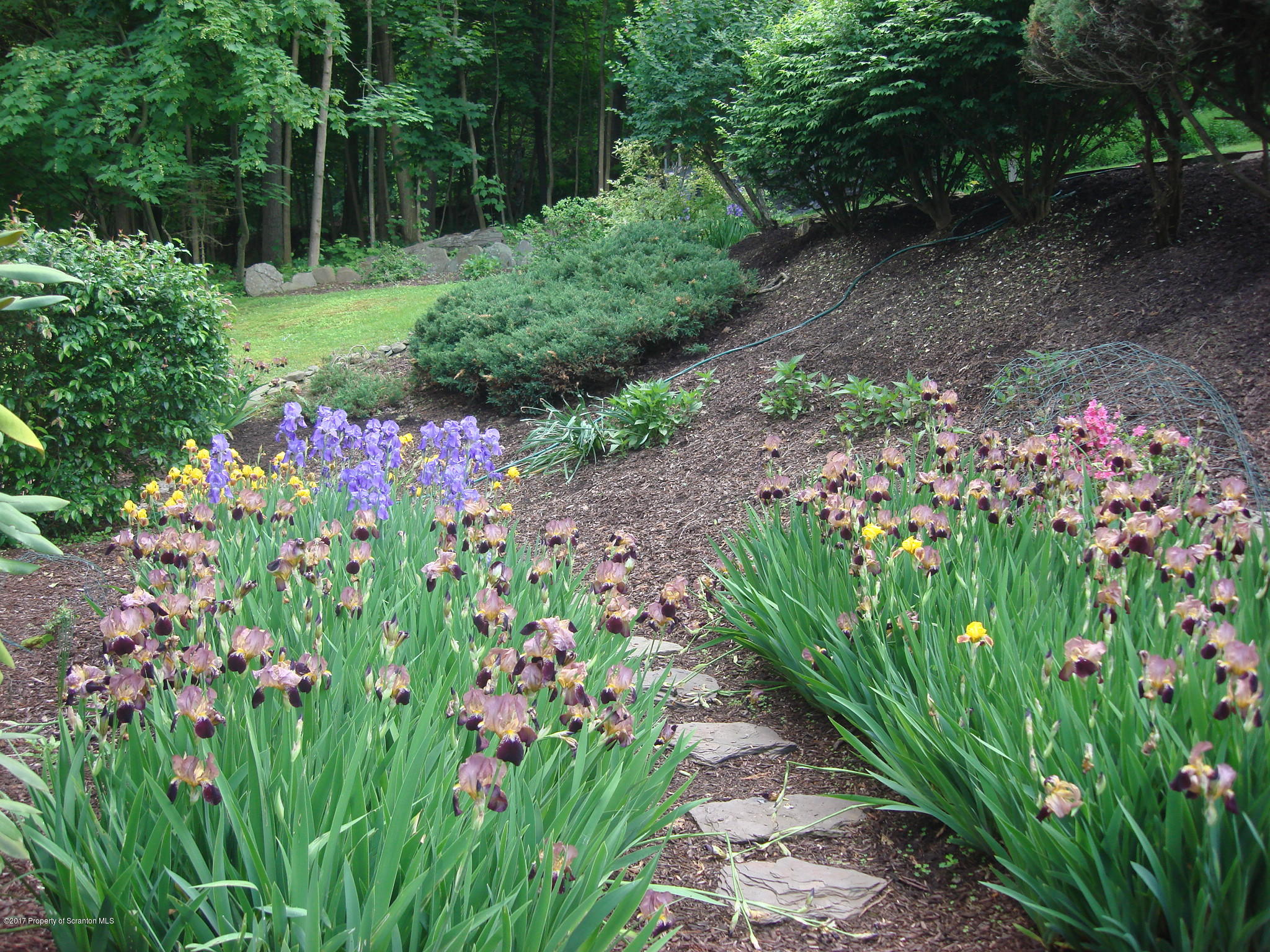 167 Abby Road Falls, PA 18615 - Photo 12 of 19 Gallery Image 12