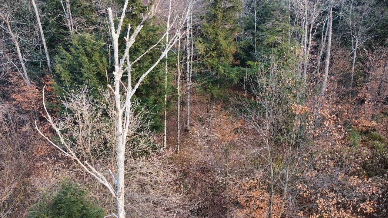 43 Taplin Road Barre Town, VT 05641 - Photo 1 of 27
