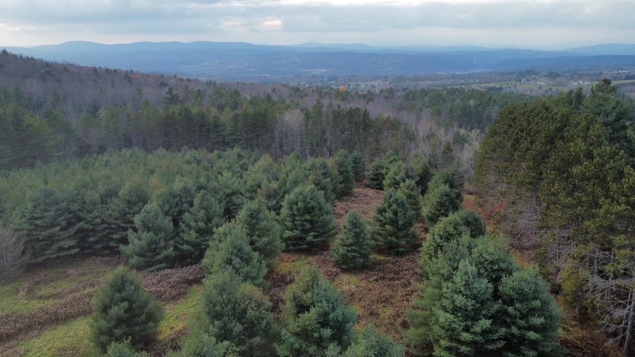 43 Taplin Road Barre Town, VT 05641 - Photo 3 of 27