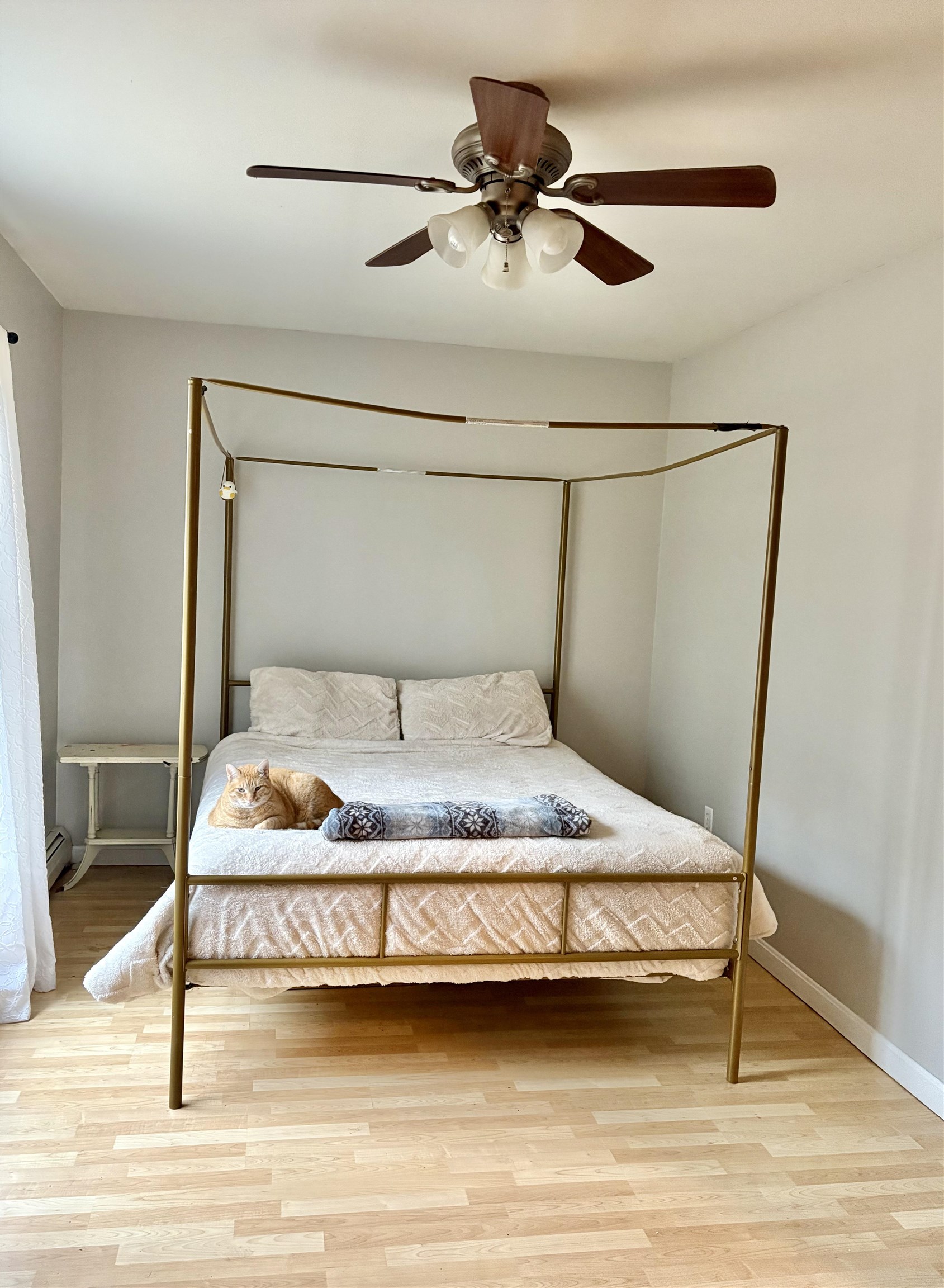 7 Sampson Drive Barnstead, NH 03225 - Photo 11 of 33