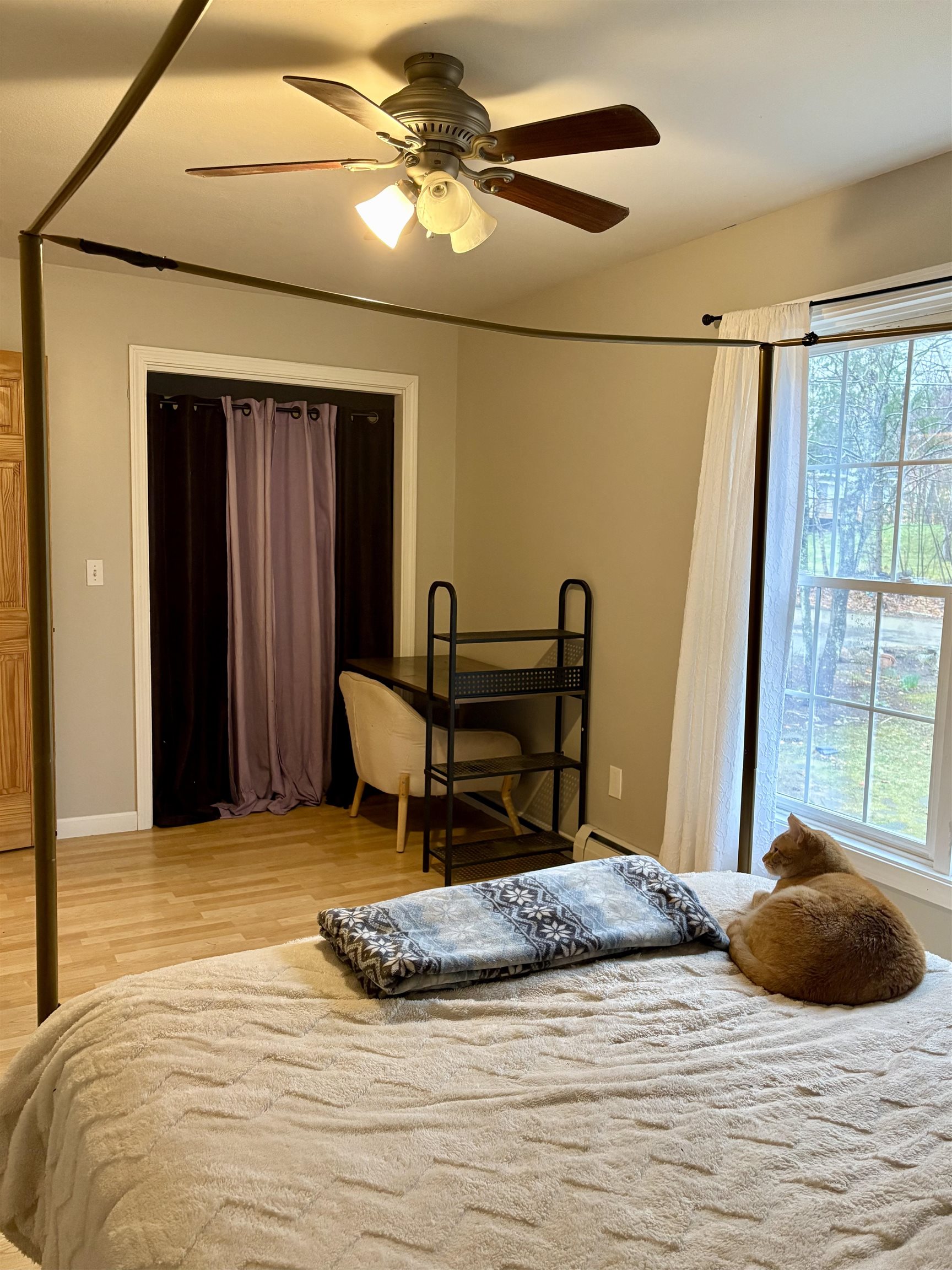 7 Sampson Drive Barnstead, NH 03225 - Photo 13 of 33