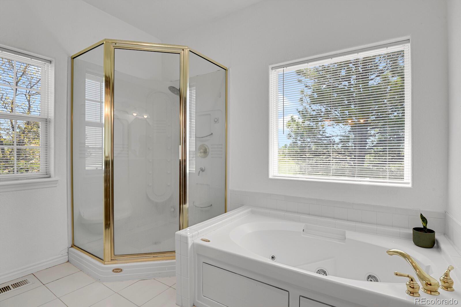 897 East Rim Road Franktown, CO 80116 - Photo 12 of 32 a bathroom with a bathtub and a shower
