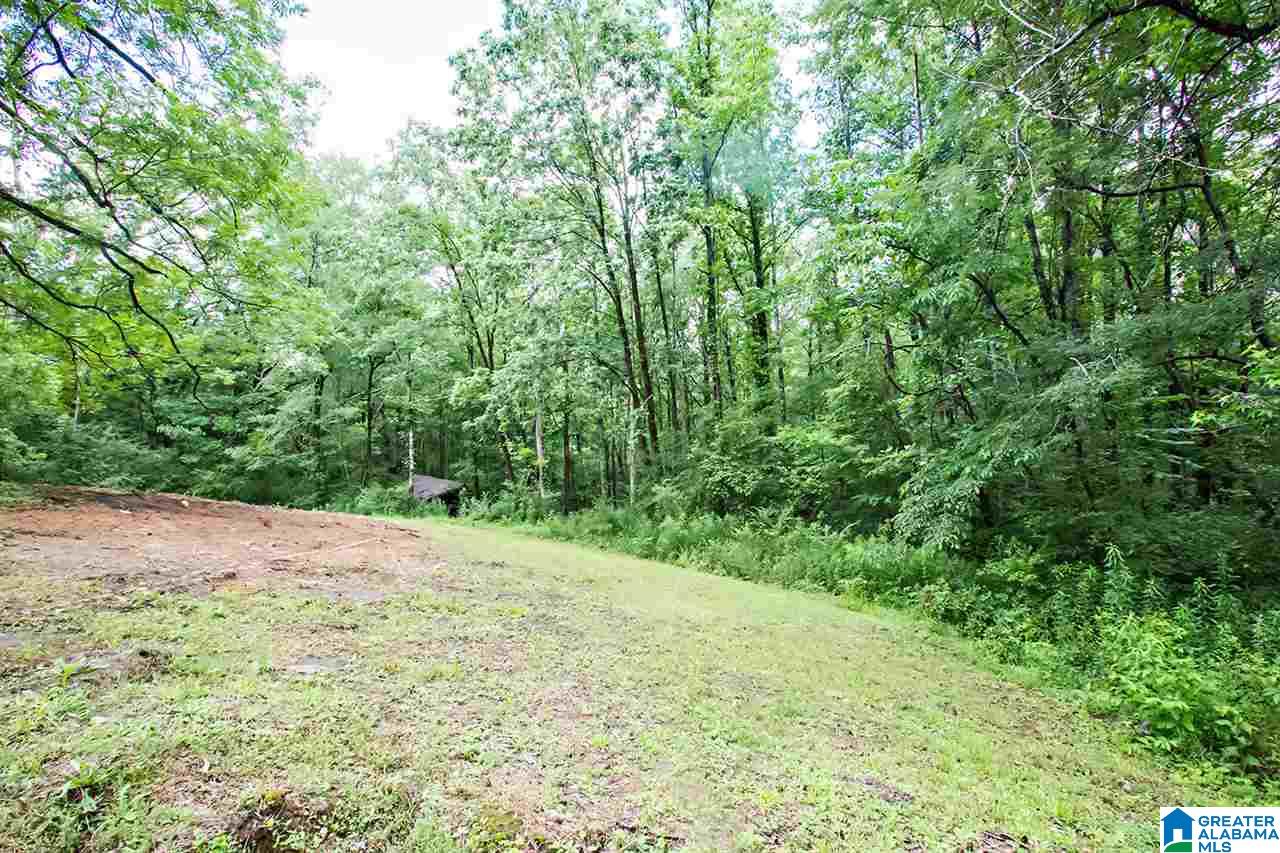 8175 Dunnavant Road Leeds, AL 35094 - Photo 33 of 33