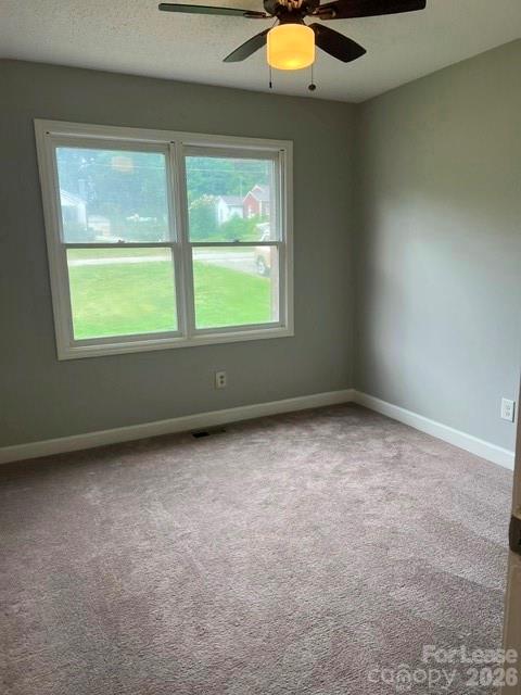 328 Millsaps Road Statesville, NC 28625 - Photo 5 of 9