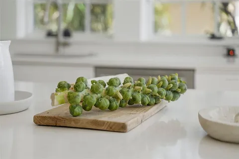 $1,485,000 | 246 19th Avenue Northeast, St. Petersburg, FL 33704