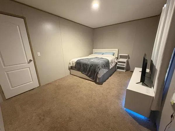 a view of a yard with plants and trees