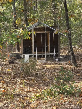 a view of a yard with plants and trees