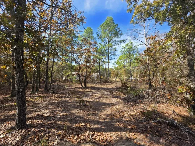 $369,000 | 103 Appaloosa Road, Buena Vista, GA 31803