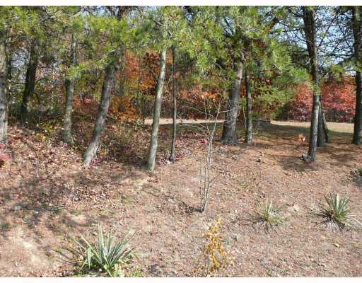 3494 Ridge Road Aliquippa, PA 15001 - Photo 12 of 12 Yard/Garden. NATURAL SETTING IN THE BACK YARD