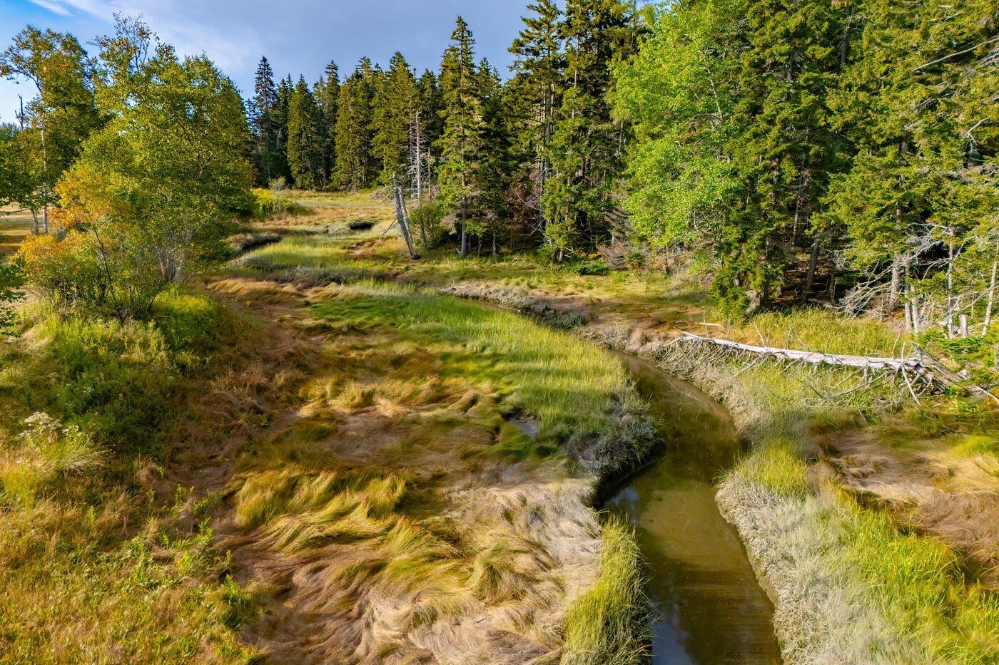 792 Tremont Road Tremont, ME 04612 - Photo 13 of 19 W14-ME2665-13TinkerBrook