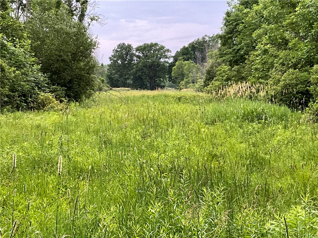 West Barre Road Albion, NY 14411 - Photo 14 of 16